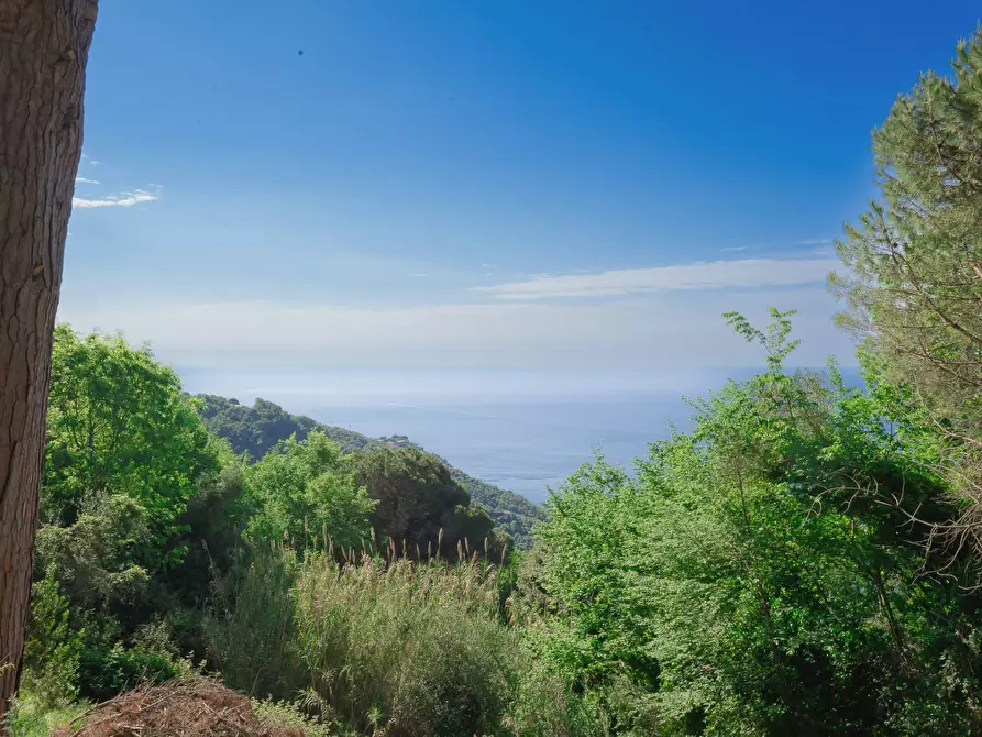 Immagine 25 di Rustico / casale in vendita  in Località Vallette Ronco a Rapallo