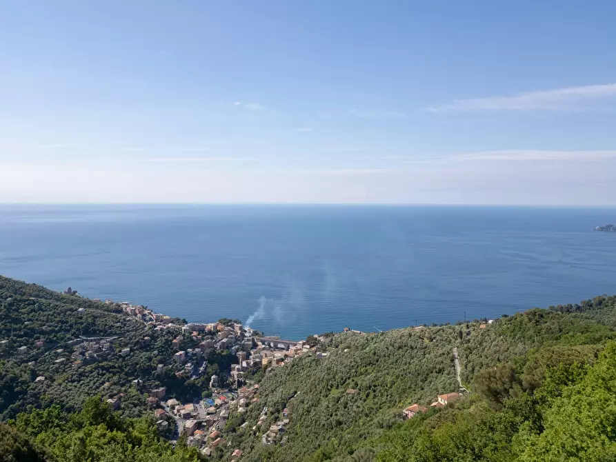 Immagine 26 di Rustico / casale in vendita  in Località Vallette Ronco a Rapallo