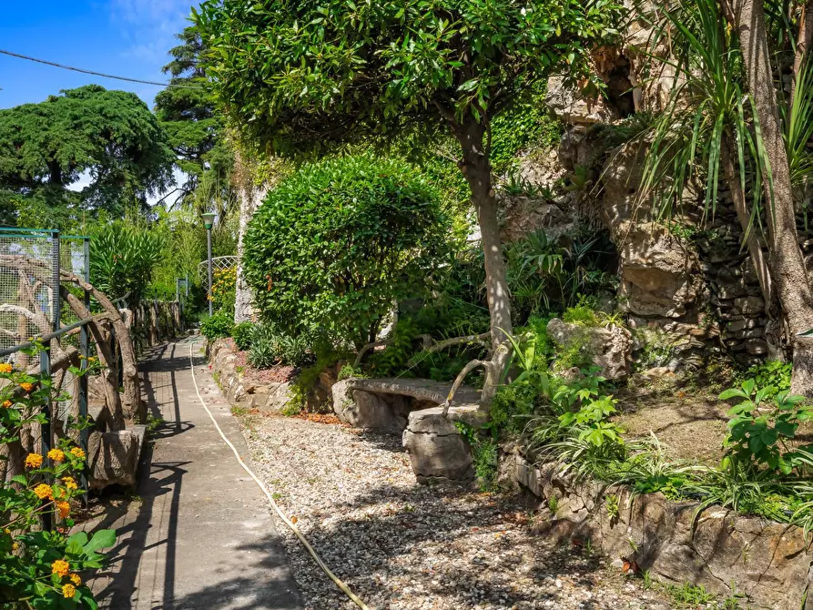 Immagine 36 di Attico in vendita  in via dei Pini 4 a Pieve Ligure