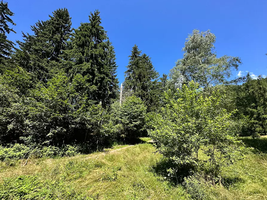 Immagine 24 di Terreno agricolo in vendita  in Plagna a Collio