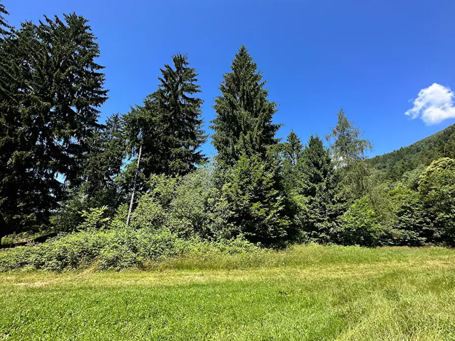 Immagine 28 di Terreno agricolo in vendita  in Plagna a Collio