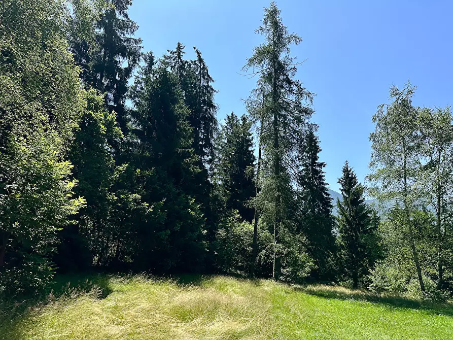 Immagine 31 di Terreno agricolo in vendita  in Plagna a Collio