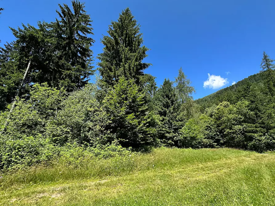 Immagine 32 di Terreno agricolo in vendita  in Plagna a Collio