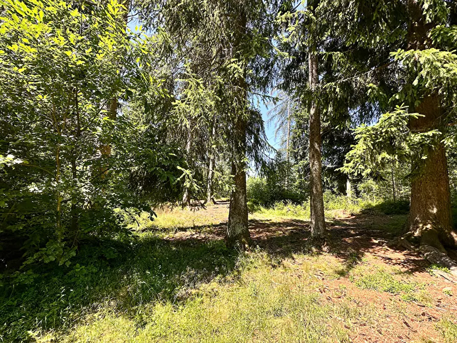 Immagine 34 di Terreno agricolo in vendita  in Plagna a Collio