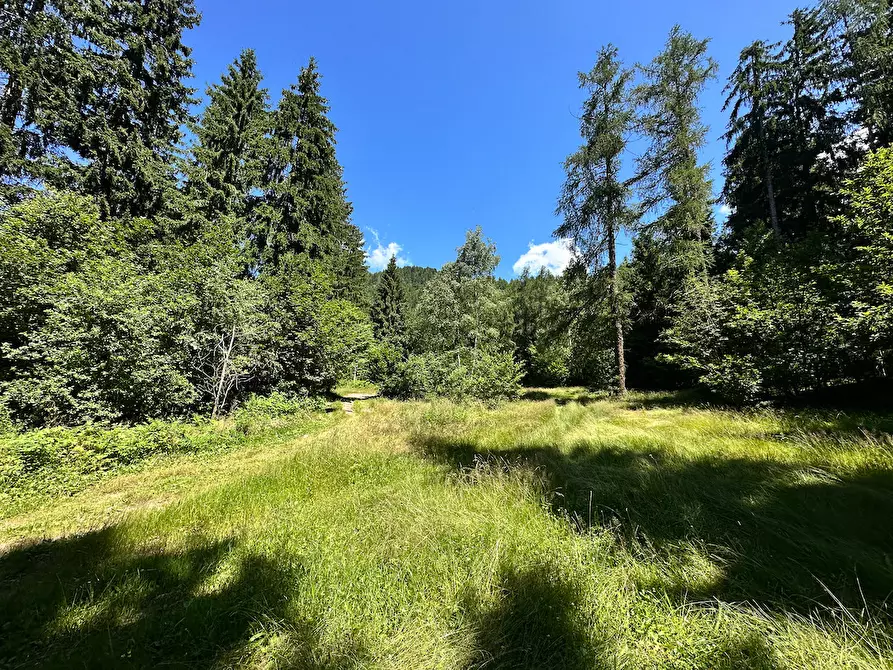 Immagine 35 di Terreno agricolo in vendita  in Plagna a Collio