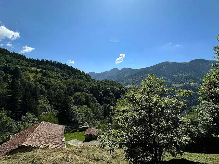 Immagine 36 di Terreno agricolo in vendita  in Plagna a Collio