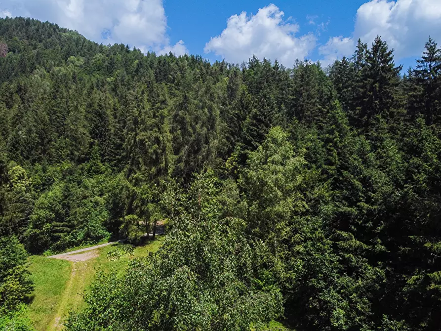 Immagine 38 di Terreno agricolo in vendita  in Plagna a Collio