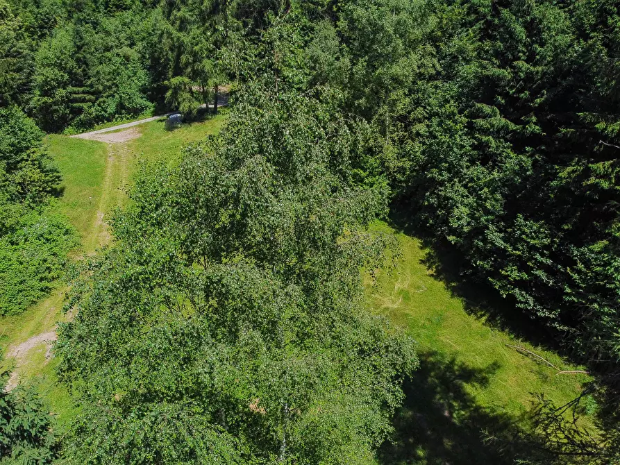 Immagine 39 di Terreno agricolo in vendita  in Plagna a Collio