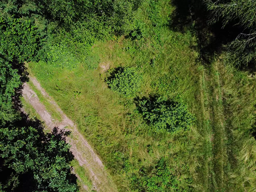 Immagine 40 di Terreno agricolo in vendita  in Plagna a Collio