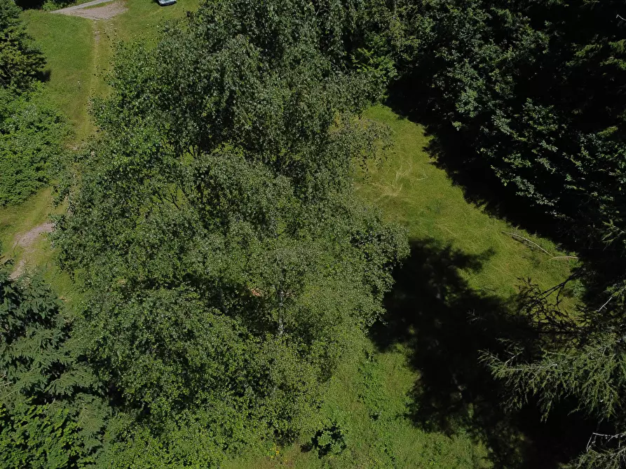 Immagine 41 di Terreno agricolo in vendita  in Plagna a Collio