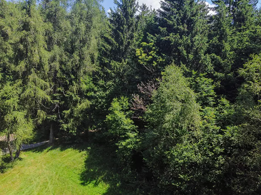 Immagine 46 di Terreno agricolo in vendita  in Plagna a Collio