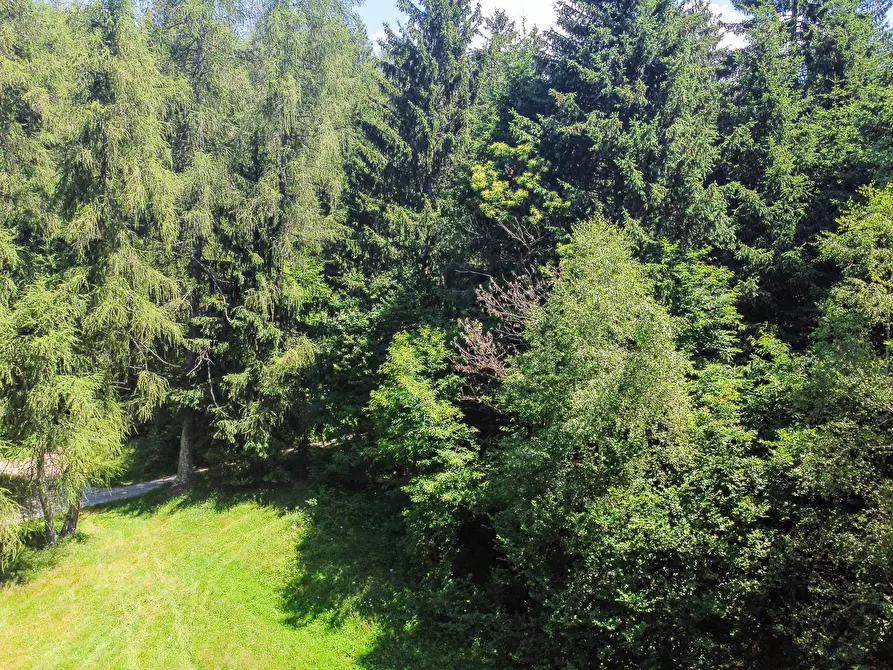 Immagine 47 di Terreno agricolo in vendita  in Plagna a Collio