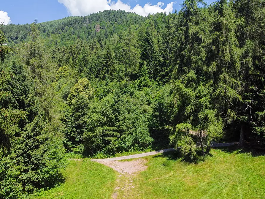 Immagine 48 di Terreno agricolo in vendita  in Plagna a Collio