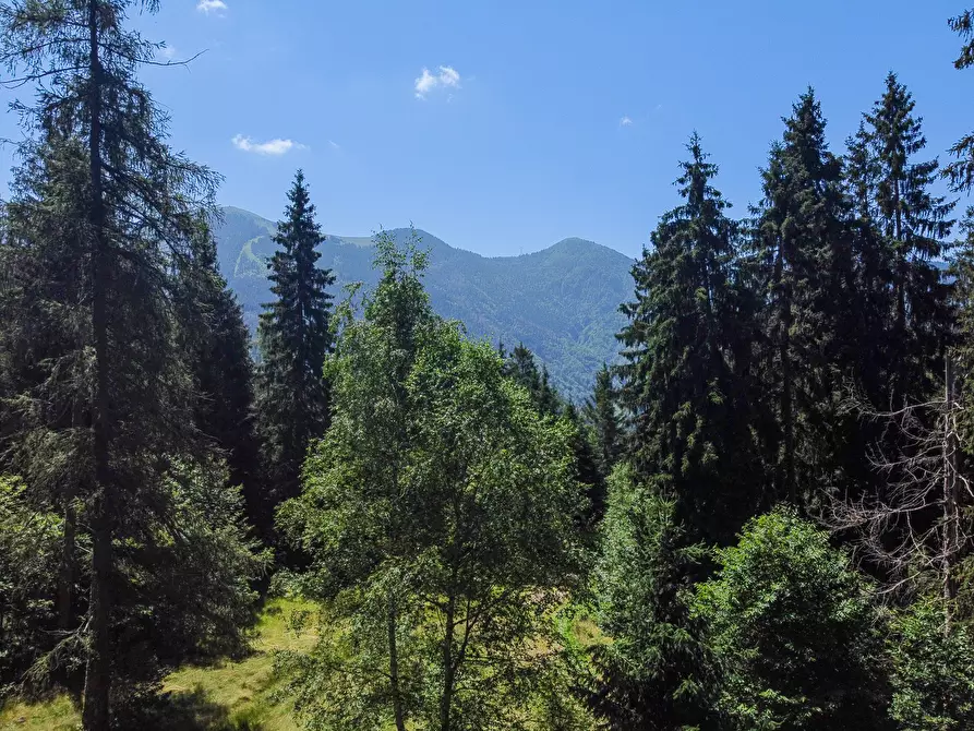 Immagine 53 di Terreno agricolo in vendita  in Plagna a Collio