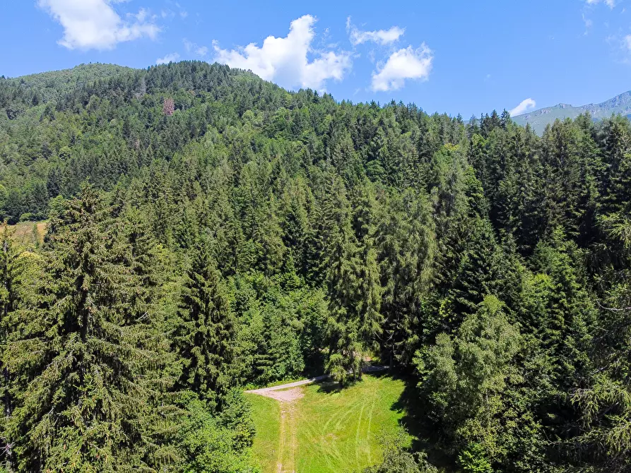 Immagine 54 di Terreno agricolo in vendita  in Plagna a Collio