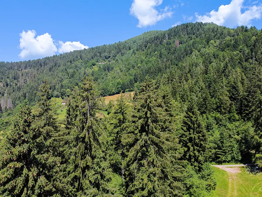 Immagine 55 di Terreno agricolo in vendita  in Plagna a Collio
