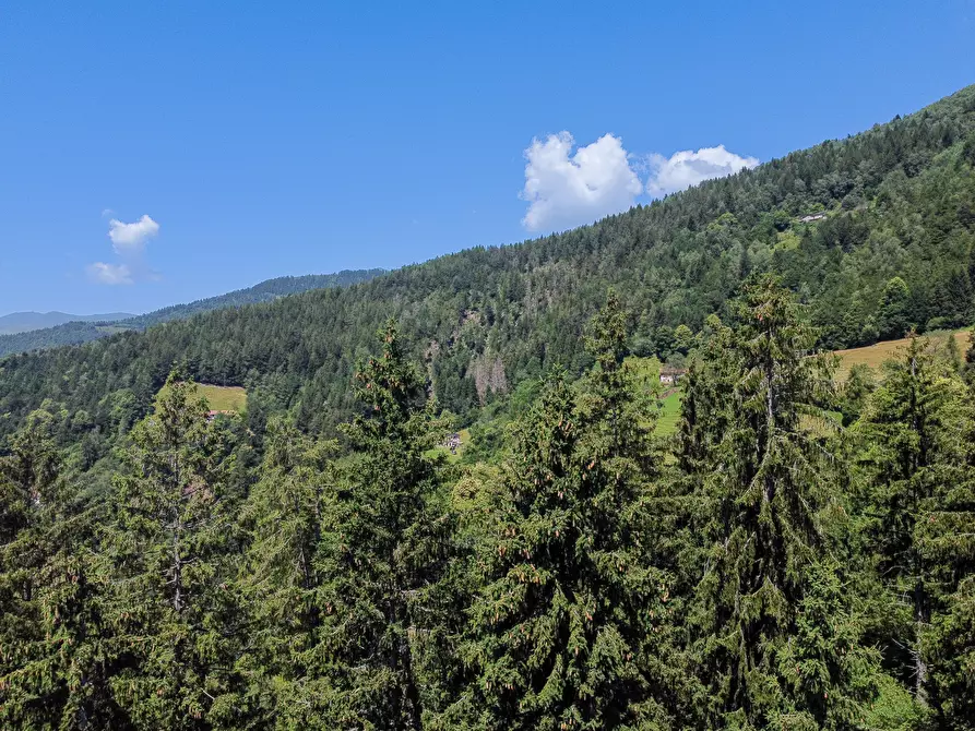 Immagine 56 di Terreno agricolo in vendita  in Plagna a Collio