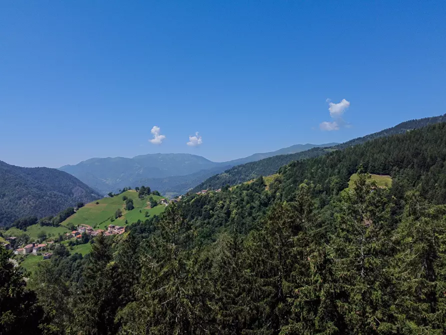Immagine 57 di Terreno agricolo in vendita  in Plagna a Collio