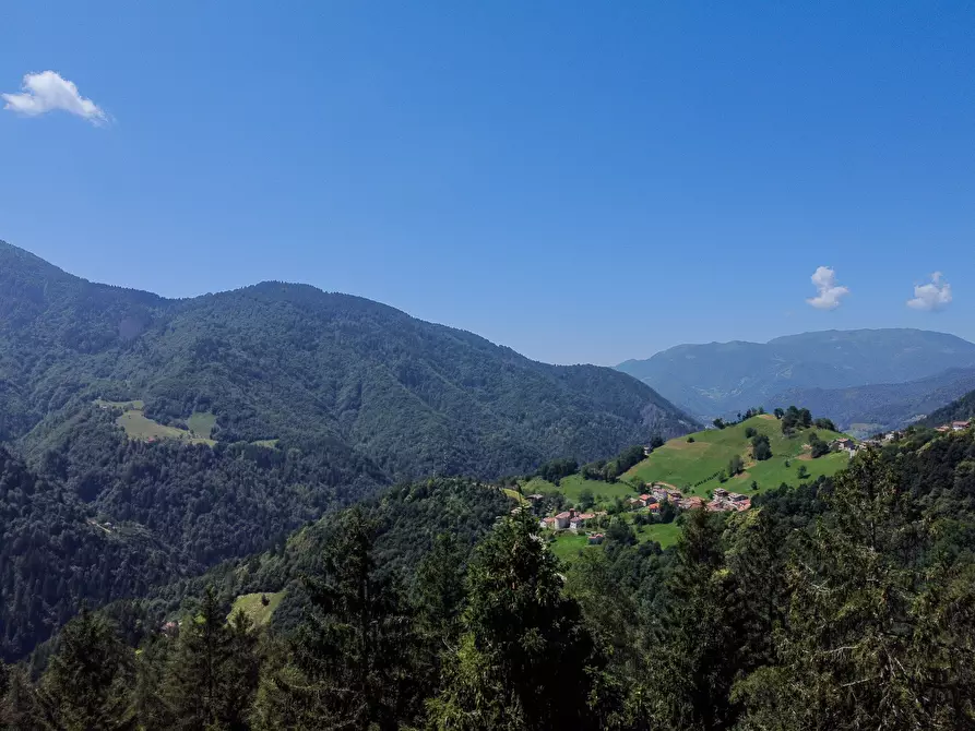 Immagine 58 di Terreno agricolo in vendita  in Plagna a Collio
