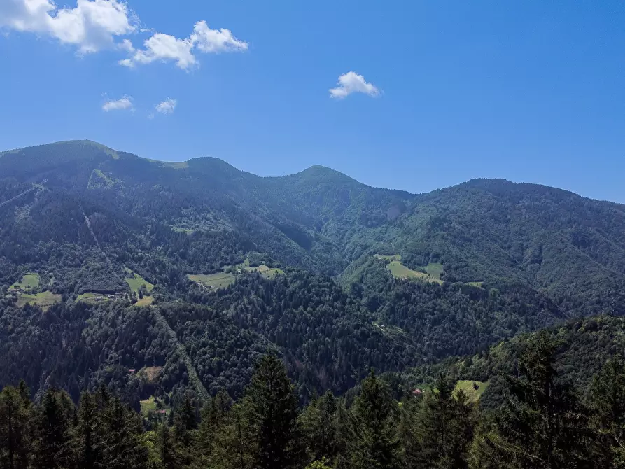 Immagine 59 di Terreno agricolo in vendita  in Plagna a Collio