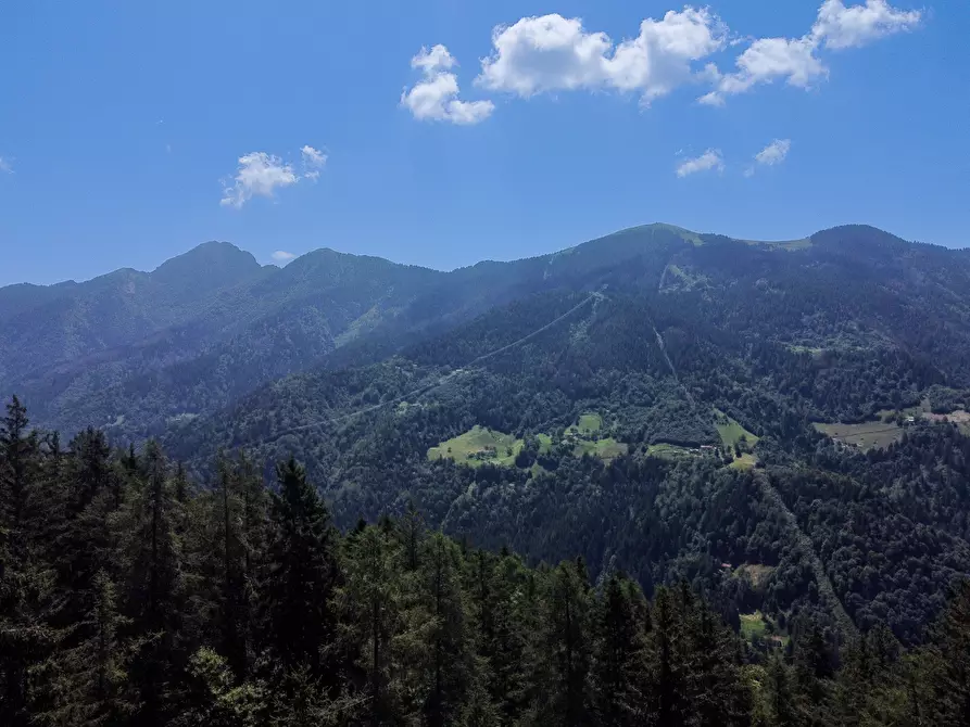 Immagine 60 di Terreno agricolo in vendita  in Plagna a Collio