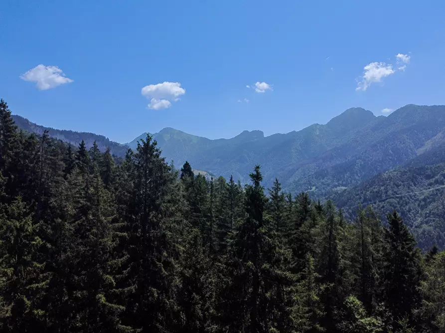 Immagine 61 di Terreno agricolo in vendita  in Plagna a Collio