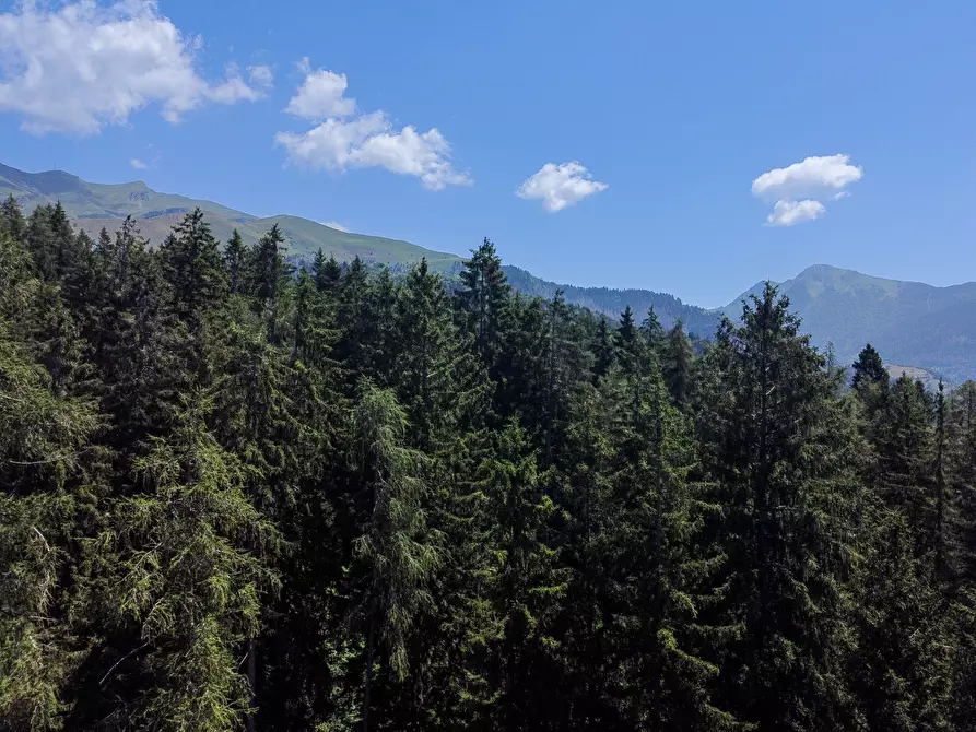 Immagine 62 di Terreno agricolo in vendita  in Plagna a Collio