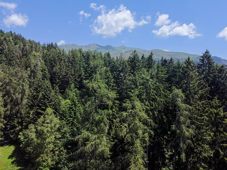Immagine 63 di Terreno agricolo in vendita  in Plagna a Collio