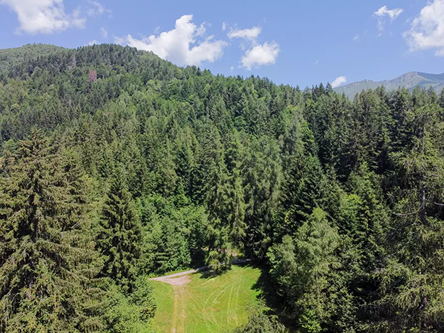 Immagine 64 di Terreno agricolo in vendita  in Plagna a Collio