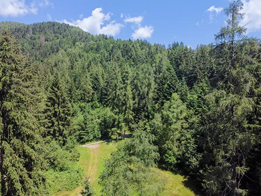 Immagine 65 di Terreno agricolo in vendita  in Plagna a Collio