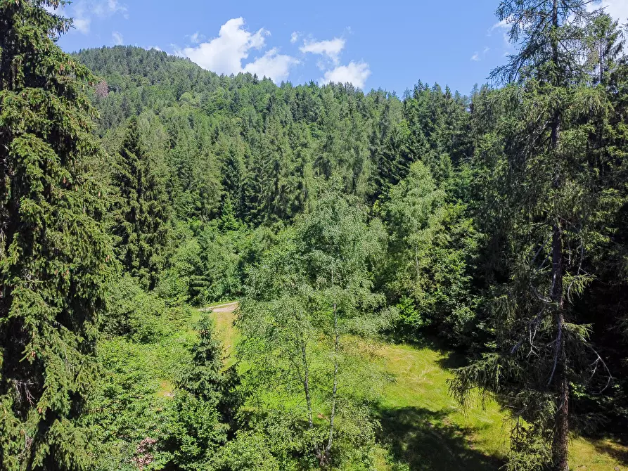 Immagine 66 di Terreno agricolo in vendita  in Plagna a Collio