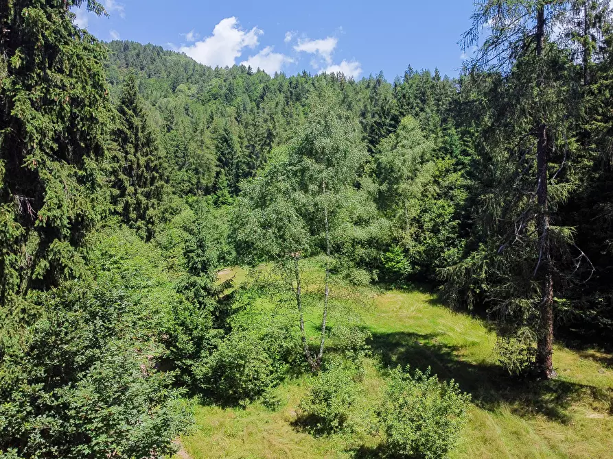 Immagine 67 di Terreno agricolo in vendita  in Plagna a Collio