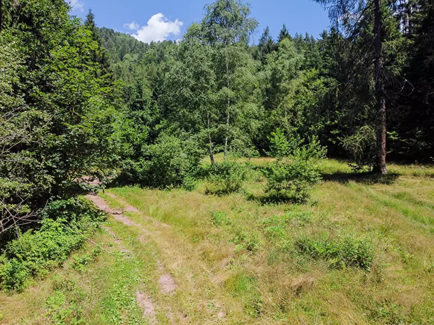 Immagine 69 di Terreno agricolo in vendita  in Plagna a Collio