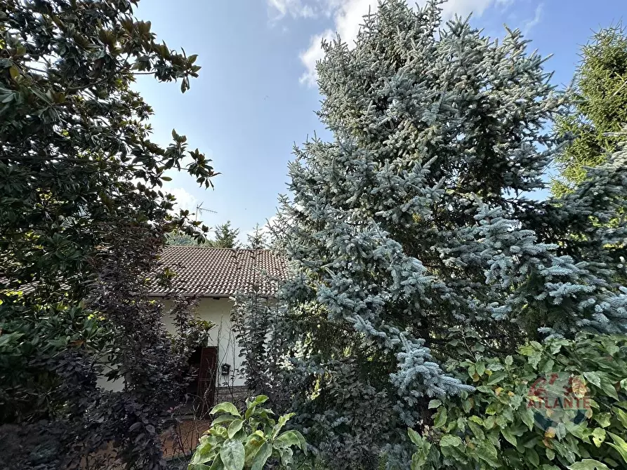 Immagine 38 di Casa semindipendente in vendita  in REGIONE SAN DESIDERIO a Monastero Bormida