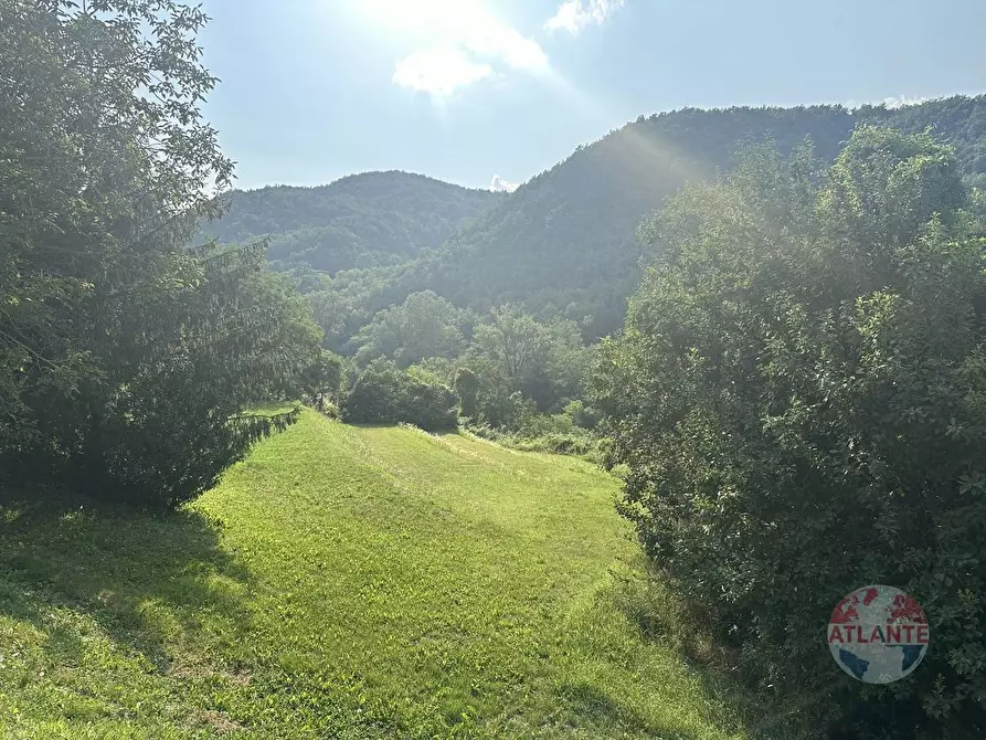 Immagine 41 di Casa semindipendente in vendita  in REGIONE SAN DESIDERIO a Monastero Bormida