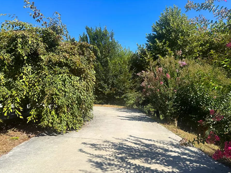 Immagine 55 di Villa in vendita  in Via San Defendente 523 a Acqui Terme