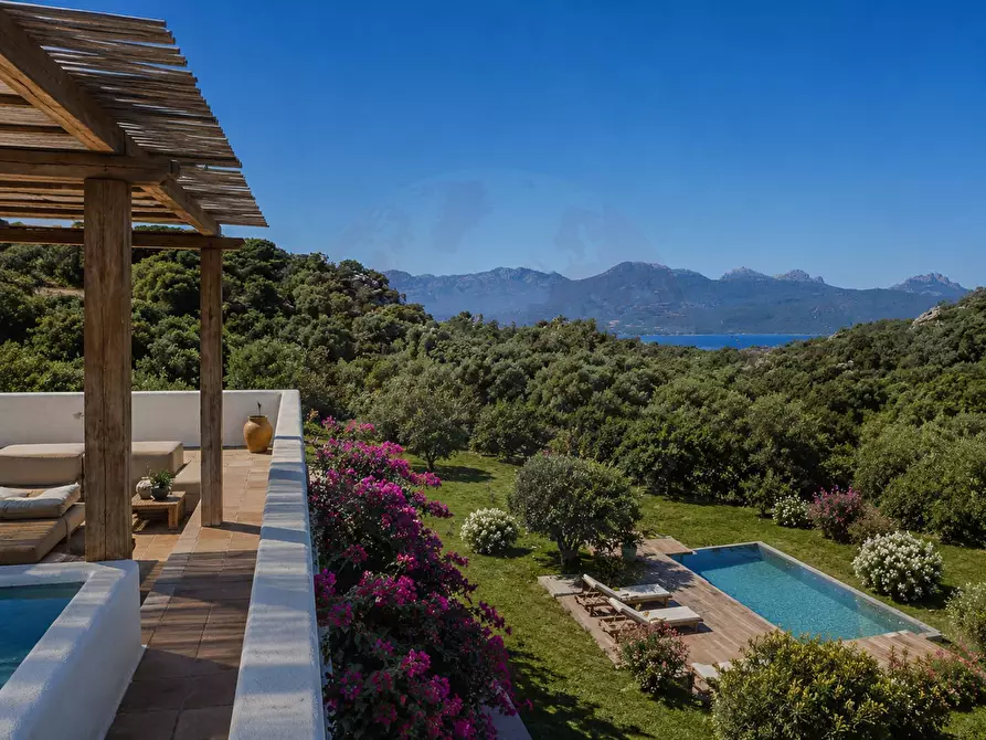 Immagine 35 di Villa in vendita  in Via Arnica snc a Olbia
