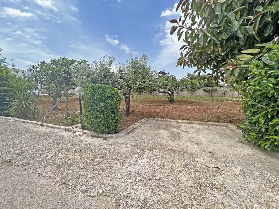 Immagine 6 di Villa in vendita  in Via Ulisse 14 a Brindisi