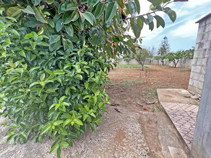 Immagine 7 di Villa in vendita  in Via Ulisse 14 a Brindisi