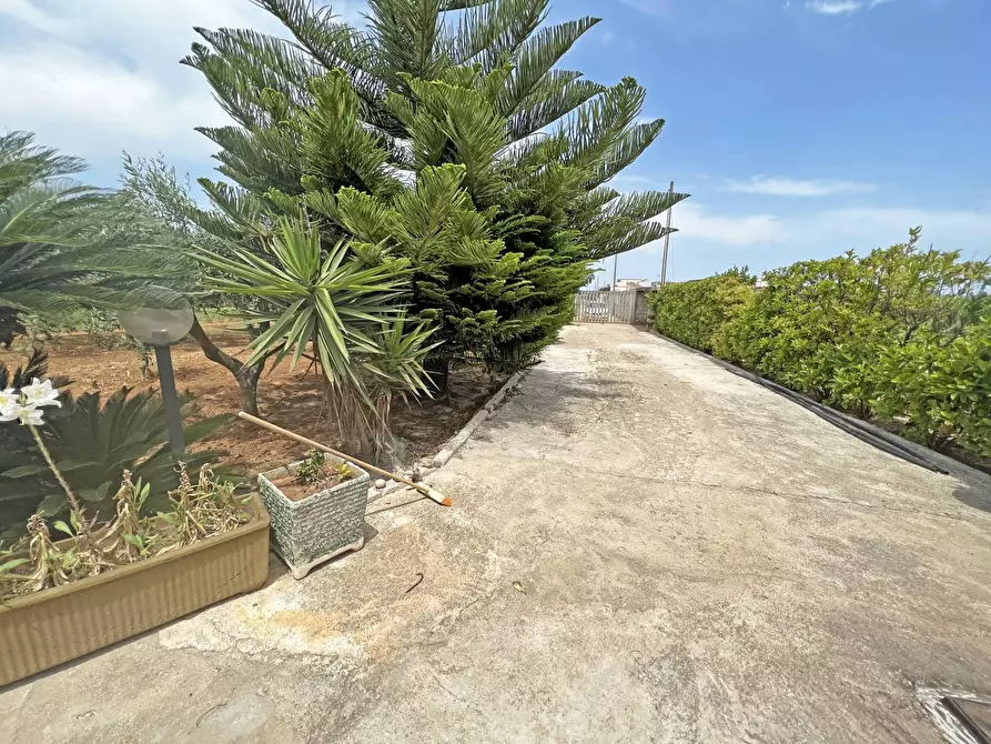 Immagine 8 di Villa in vendita  in Via Ulisse 14 a Brindisi