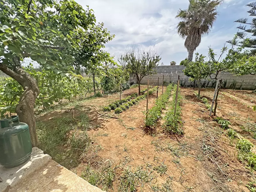 Immagine 26 di Villa in vendita  in Via Ulisse 14 a Brindisi