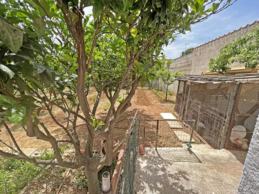 Immagine 28 di Villa in vendita  in Via Ulisse 14 a Brindisi