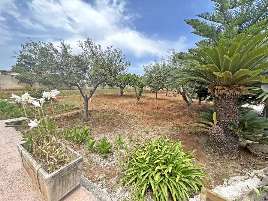 Immagine 36 di Villa in vendita  in Via Ulisse 14 a Brindisi