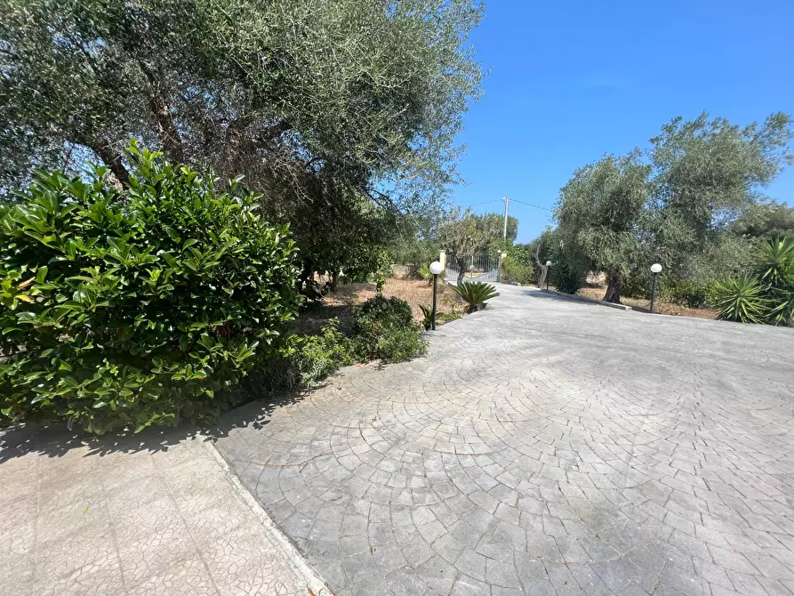 Immagine 3 di Casa semindipendente in vendita  in Contrada Aspri snc a Brindisi