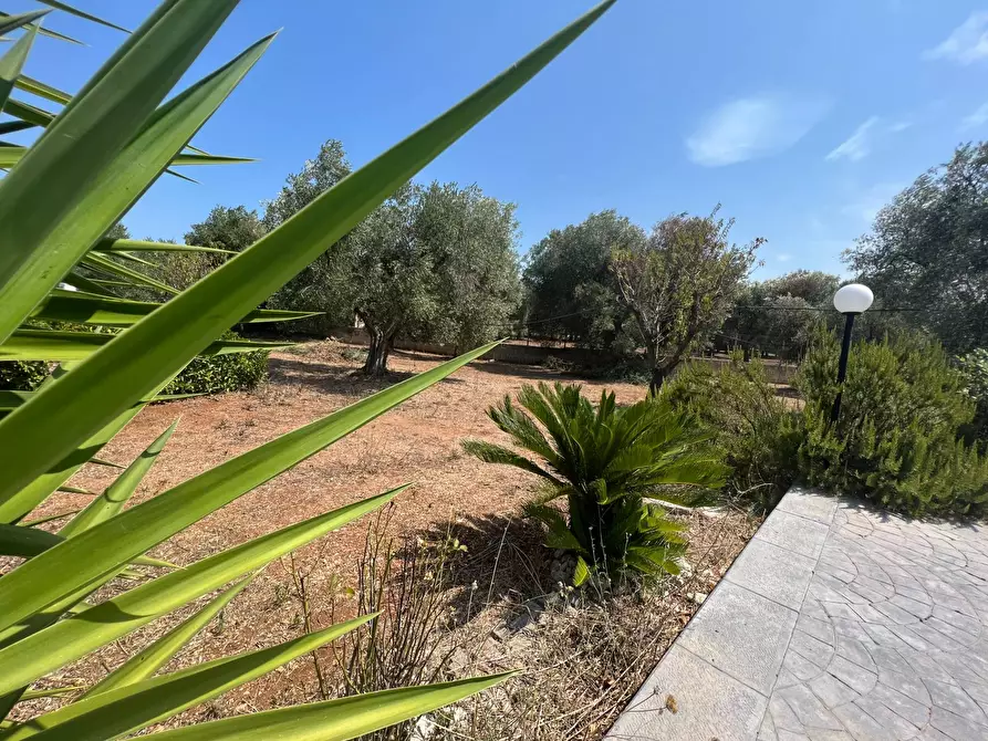 Immagine 9 di Casa semindipendente in vendita  in Contrada Aspri snc a Brindisi