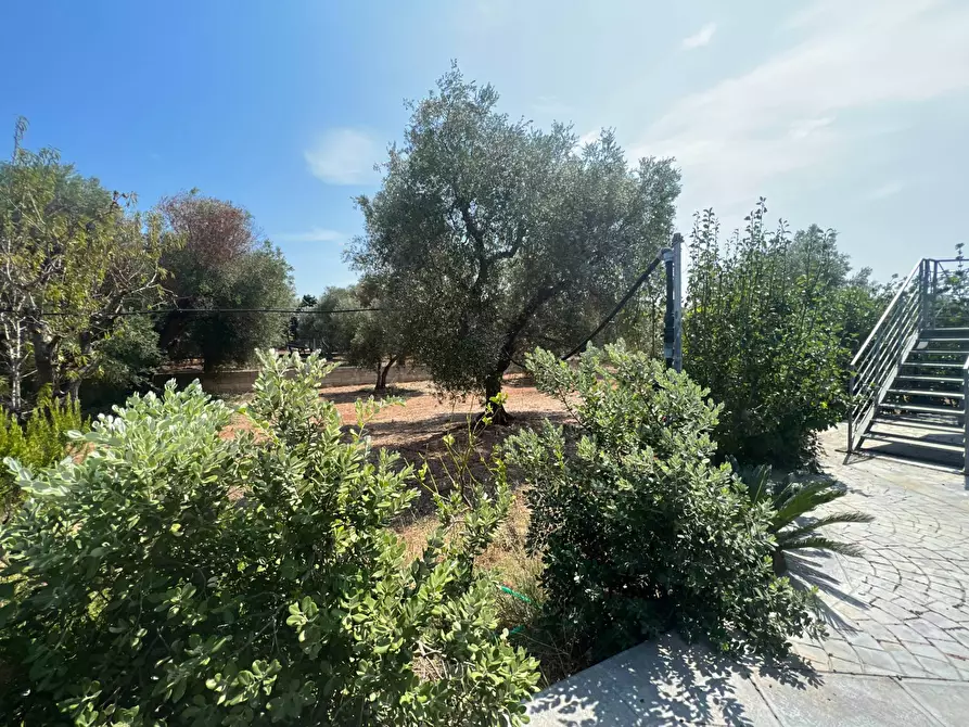 Immagine 10 di Casa semindipendente in vendita  in Contrada Aspri snc a Brindisi