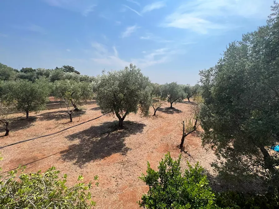 Immagine 25 di Casa semindipendente in vendita  in Contrada Aspri snc a Brindisi