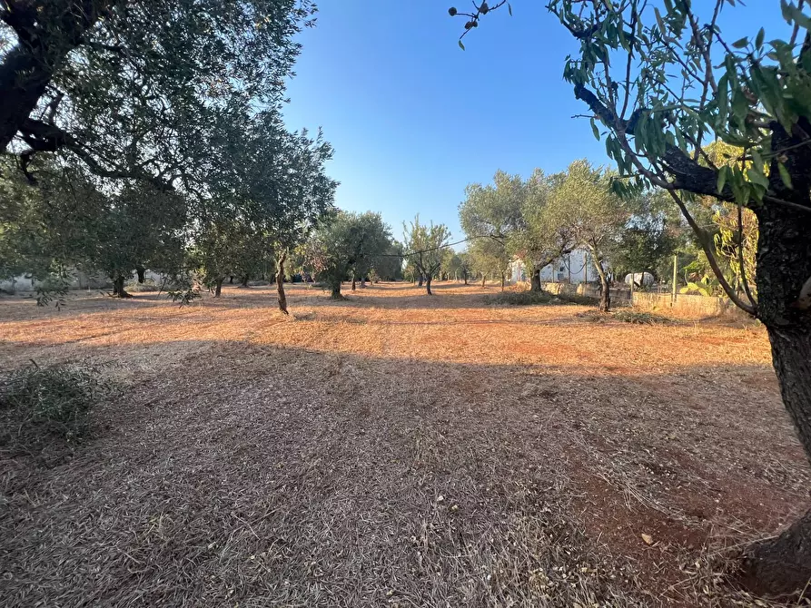Immagine 42 di Casa semindipendente in vendita  in Contrada Aspri snc a Brindisi
