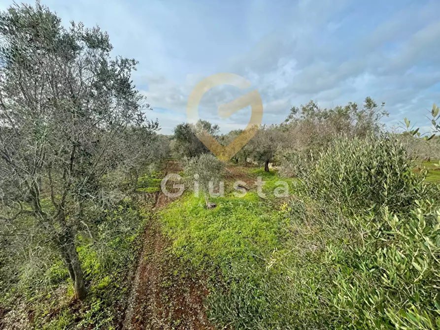 Immagine 1 di Rustico / casale in vendita  in contrada Colacurto sn a Carovigno