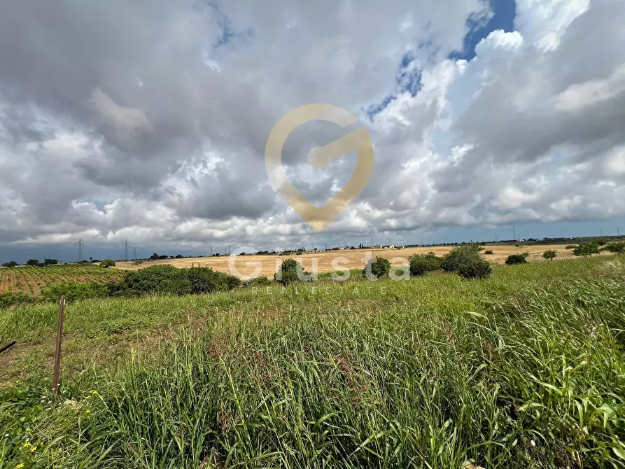 Immagine 1 di Terreno agricolo in vendita  in CONTRADA PALMARINI snc a Brindisi